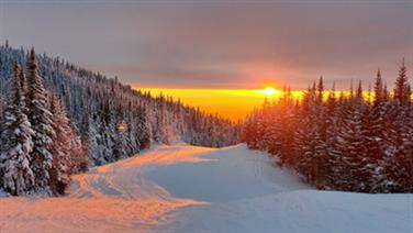 Image for: BILLET BLOC 4 HRS